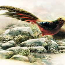 Схема вышивки «фазаны»