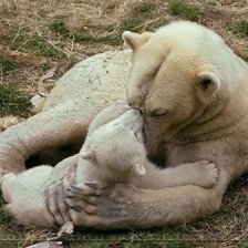 Схема вышивки «материнская нежность»