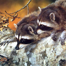 Схема вышивки «еноты-2»