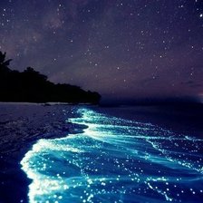 Схема вышивки «Морской берег»