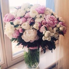 Схема вышивки «Пионы»