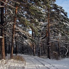 Схема вышивки «Зимний лес»