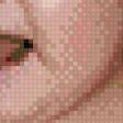 Предпросмотр схемы вышивки «крошка н» (№891668)
