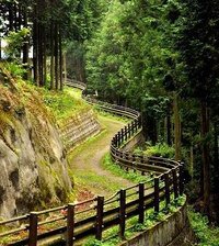 Схема вышивки «горная тропинка»