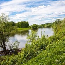 Схема вышивки «Летняя тишина»