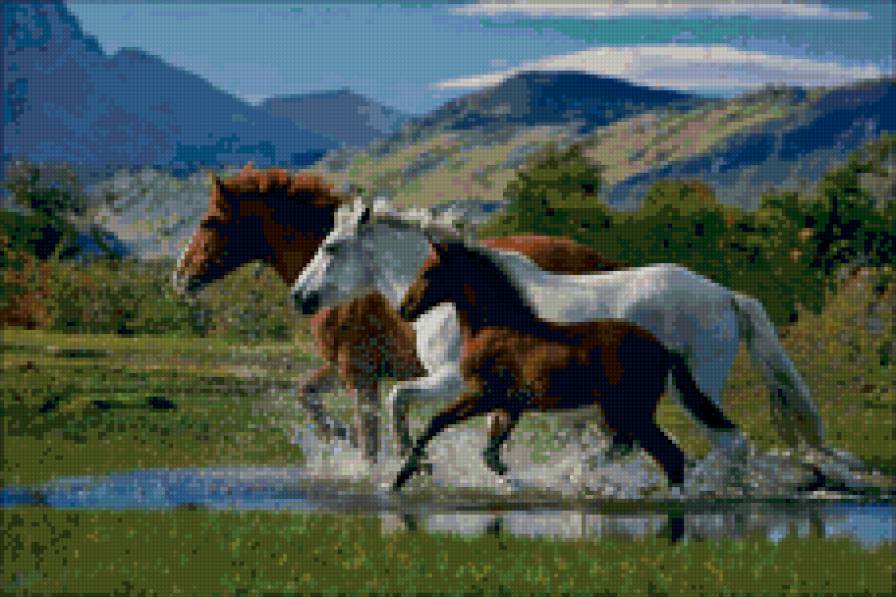 лошади - животные, пейзаж, лошади - предпросмотр