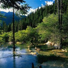 Схема вышивки «Тайга»