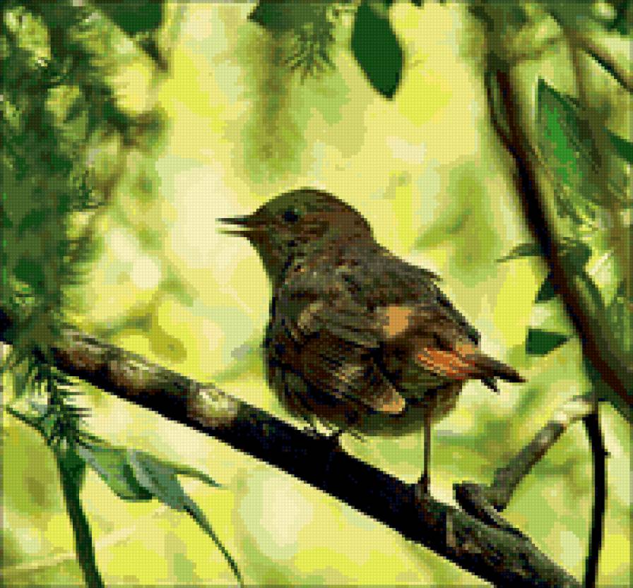 птенец - природа. пернатые, пейзаж - предпросмотр