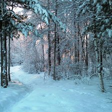 Схема вышивки «зимний лес»