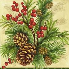 Схема вышивки «Шишки»