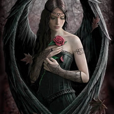 темный ангел