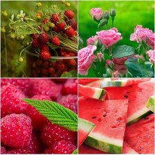 краски лета