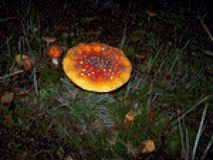 грибочки - грибочки, пра - предпросмотр