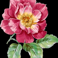 Схема вышивки «пион»