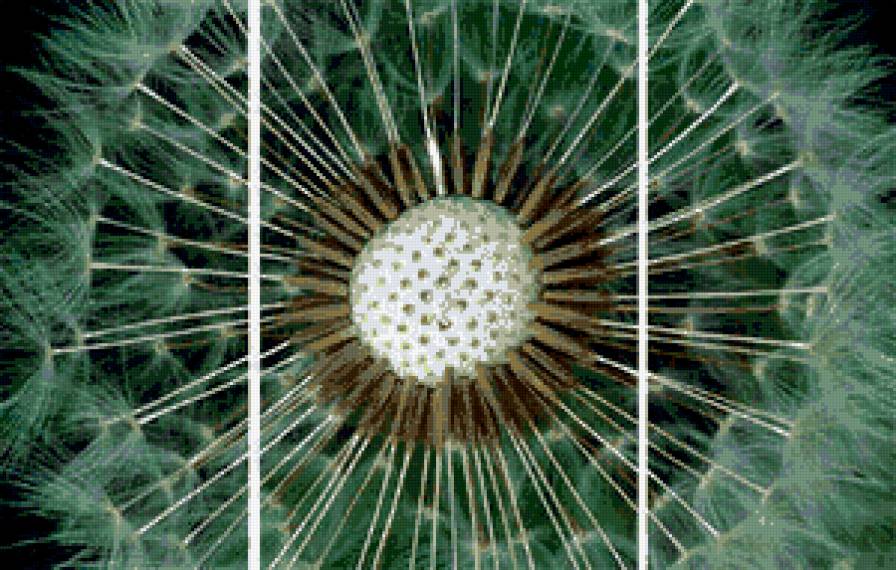 Одуванчик-1 - триптихи, цветы - предпросмотр