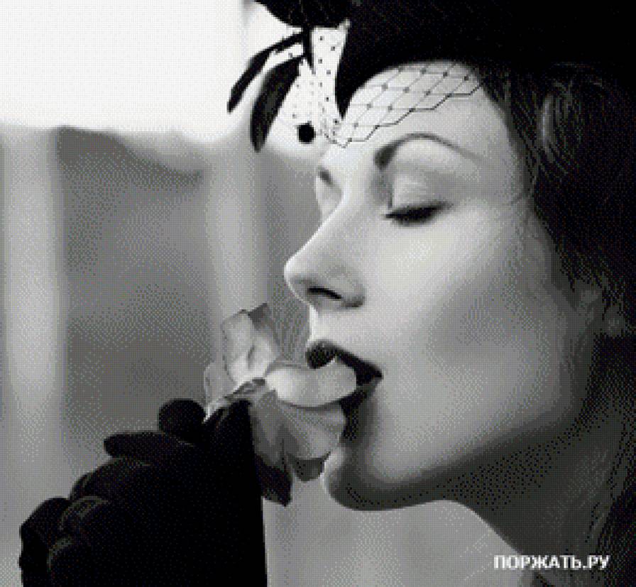 леди - женщина. - предпросмотр