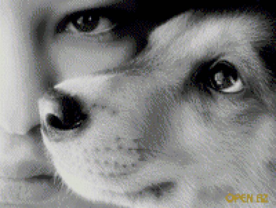 друг - предпросмотр