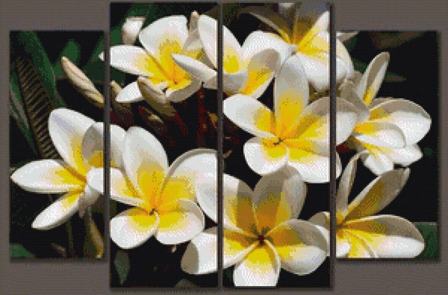 Цветы - белое на черном, цветы - предпросмотр