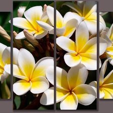 Схема вышивки «Цветы»