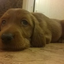 Схема вышивки «222»