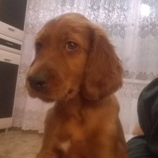 Схема вышивки «333»