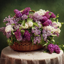 Схема вышивки «Сирень»