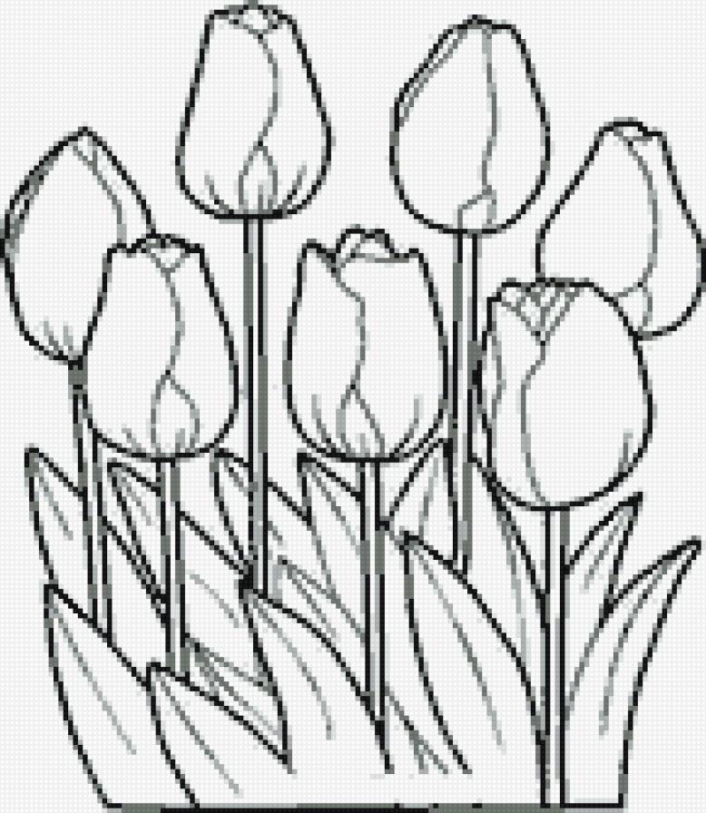 тюльпаны - тюльпаны, цветы, монохром - предпросмотр