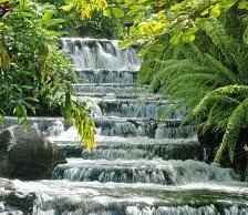 Схема вышивки «№892972»