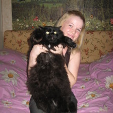 Схема вышивки «№893080»