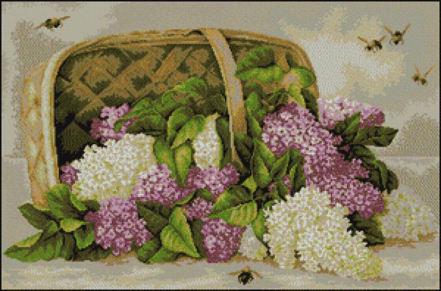 Корзина с сиренью - цветы, сирень, композиция - предпросмотр