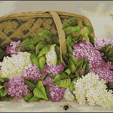 Корзина с сиренью