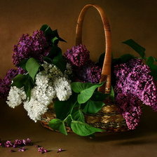 Схема вышивки «сирень в корзине»