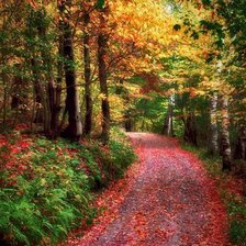 Схема вышивки «№893218»