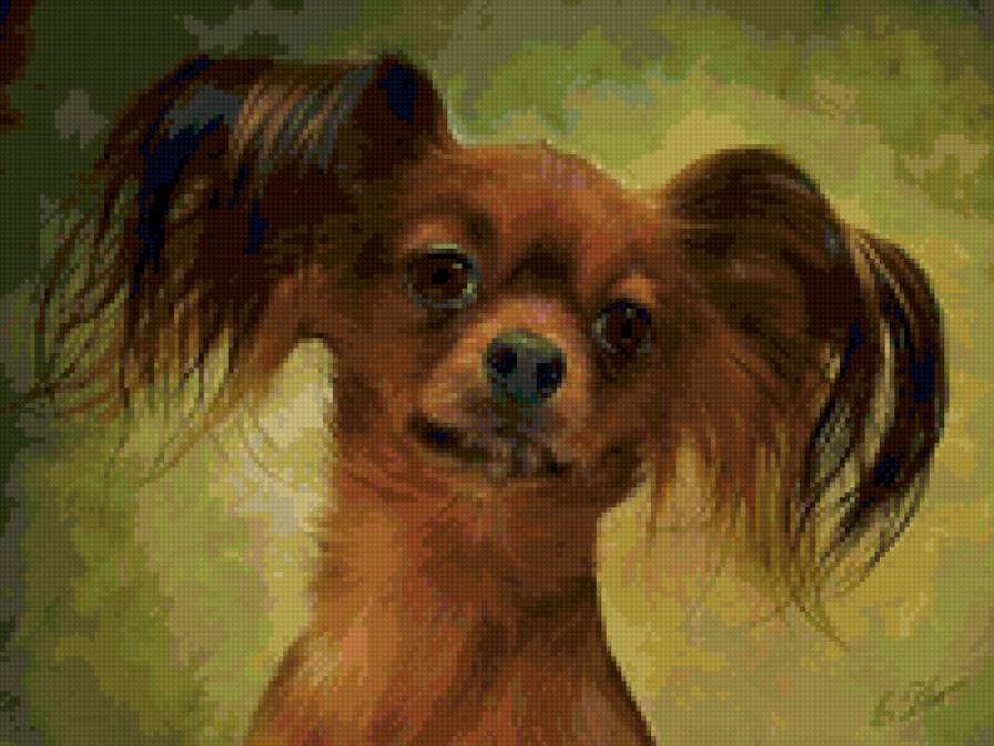 той терьер - собаки, животные - предпросмотр