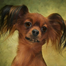 Схема вышивки «той терьер»