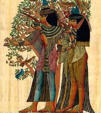 Схема вышивки «№893397»