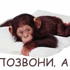 Схема вышивки «позвони мне, позвони!!!»