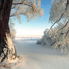 Схема вышивки «зимний лес»