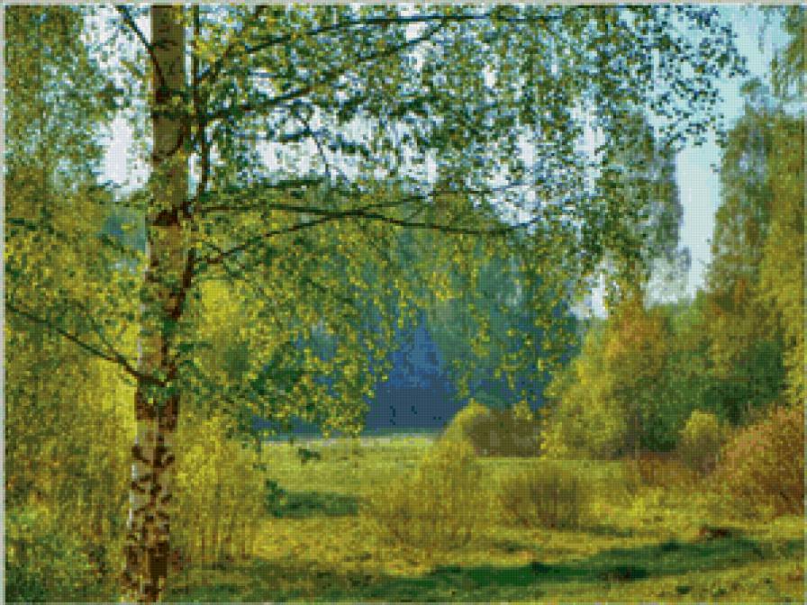 летний пейзаж - березы, пейзаж. природа. лето, лес - предпросмотр