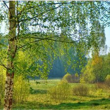 Схема вышивки «летний пейзаж»