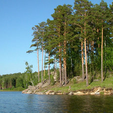 Схема вышивки «сосны на берегу реки»