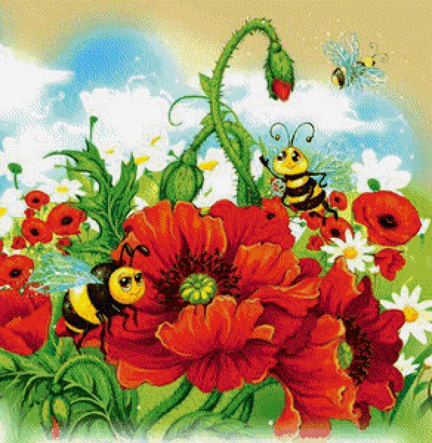 мак1 - маки цветы поле - предпросмотр