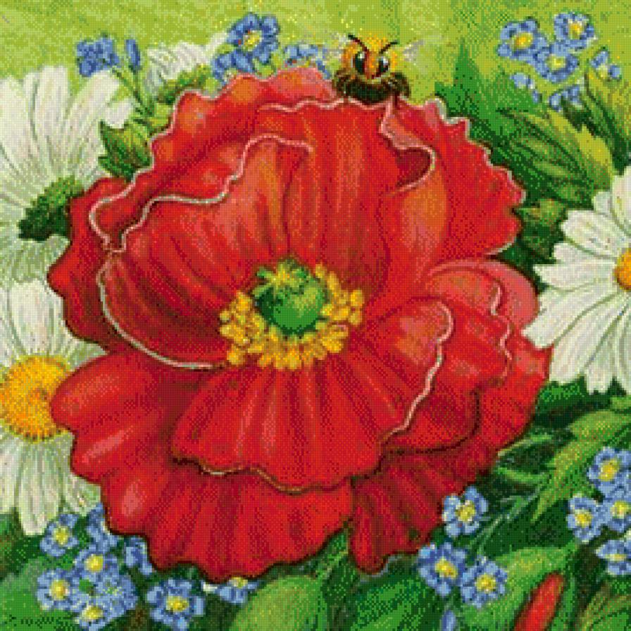 мак6 - маки поле ромашка васильки - предпросмотр