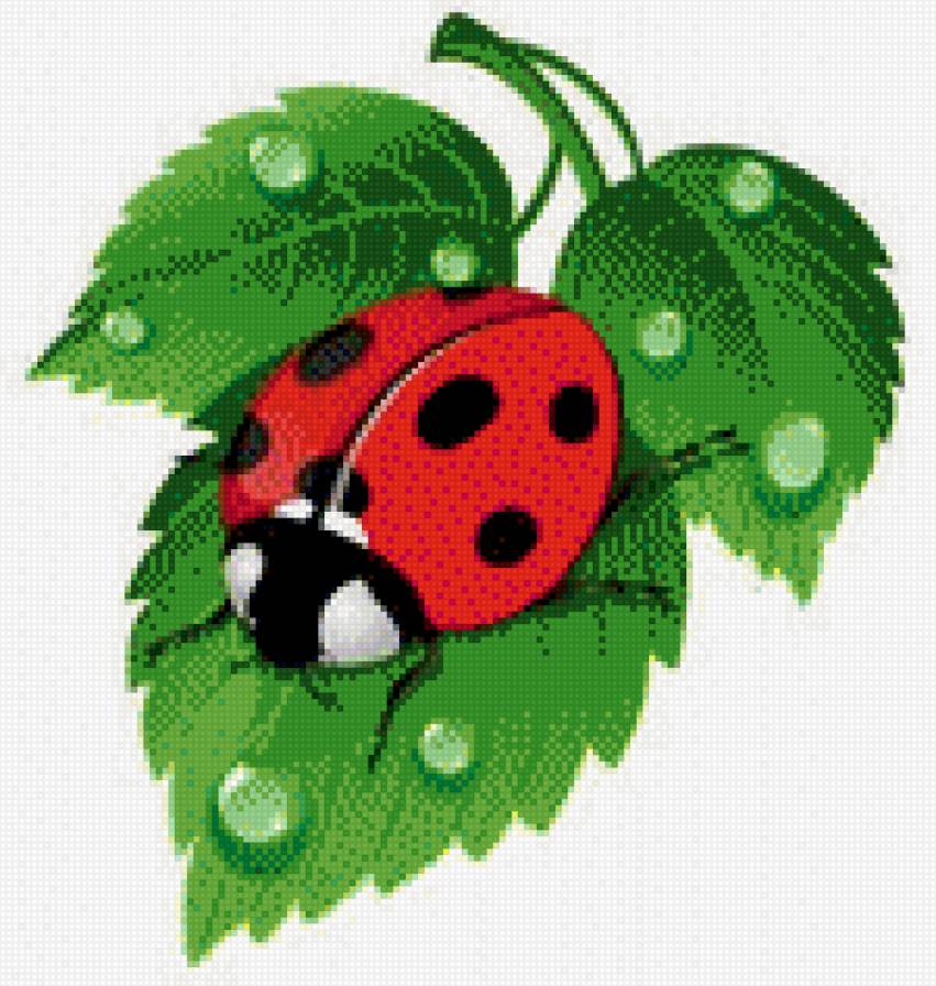 божья1 - божья коровка листок - предпросмотр