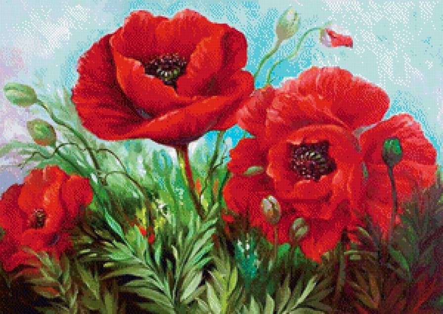 мак12 - маки цветы поле - предпросмотр