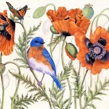 Схема вышивки «мак14»