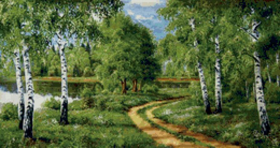 березовая роща - березы, тропинка, пейзаж. природа. лето, лес - предпросмотр