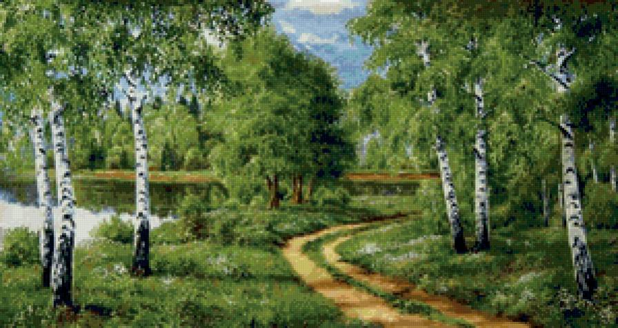 березовая роща - пейзаж. природа. лето, березы, лес, тропинка - предпросмотр