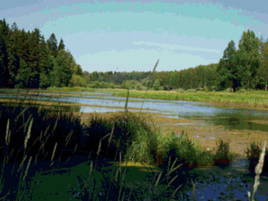 Летняя тишина - пруд, природа, лето, пейзаж - предпросмотр