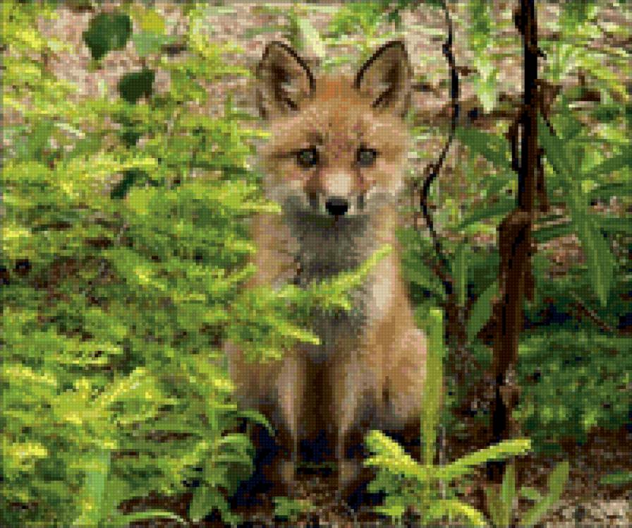 Лисенок - животные - предпросмотр